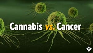cannabisvscancer